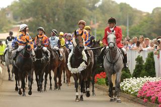 2018 Karaka Million 2YO winner Avantage (Fastnet Rock).